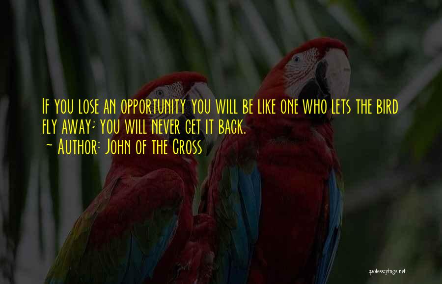 John Of The Cross Quotes: If You Lose An Opportunity You Will Be Like One Who Lets The Bird Fly Away; You Will Never Get