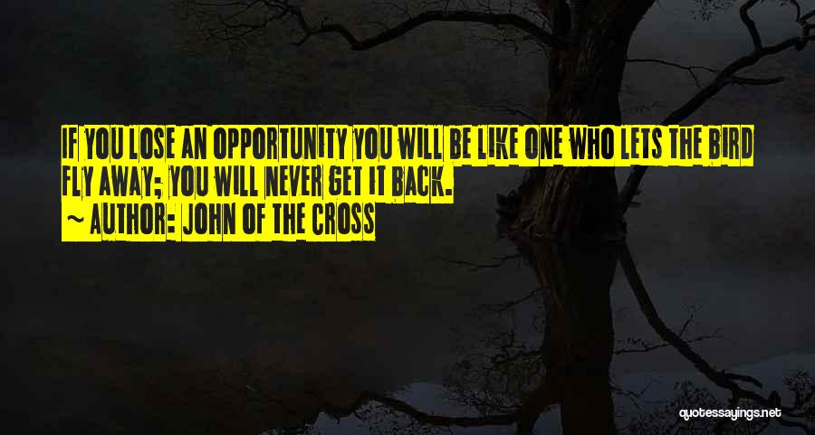 John Of The Cross Quotes: If You Lose An Opportunity You Will Be Like One Who Lets The Bird Fly Away; You Will Never Get