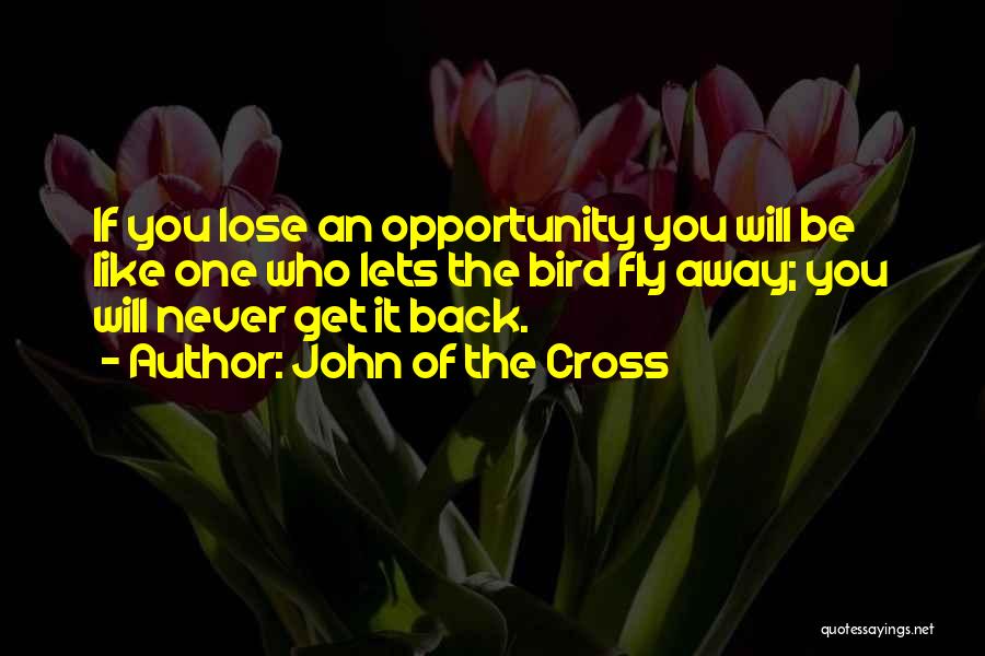 John Of The Cross Quotes: If You Lose An Opportunity You Will Be Like One Who Lets The Bird Fly Away; You Will Never Get