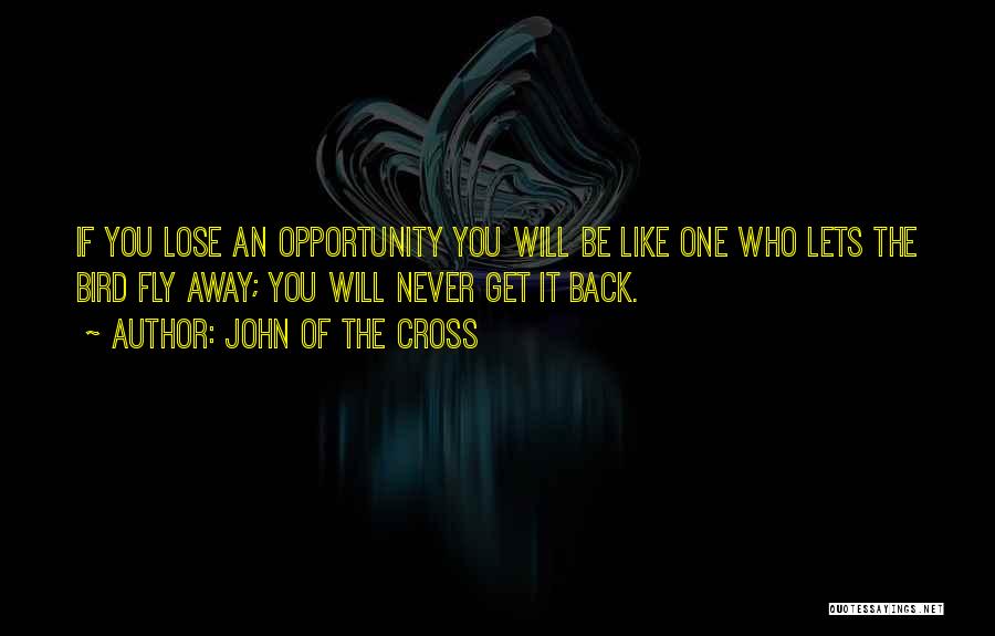 John Of The Cross Quotes: If You Lose An Opportunity You Will Be Like One Who Lets The Bird Fly Away; You Will Never Get