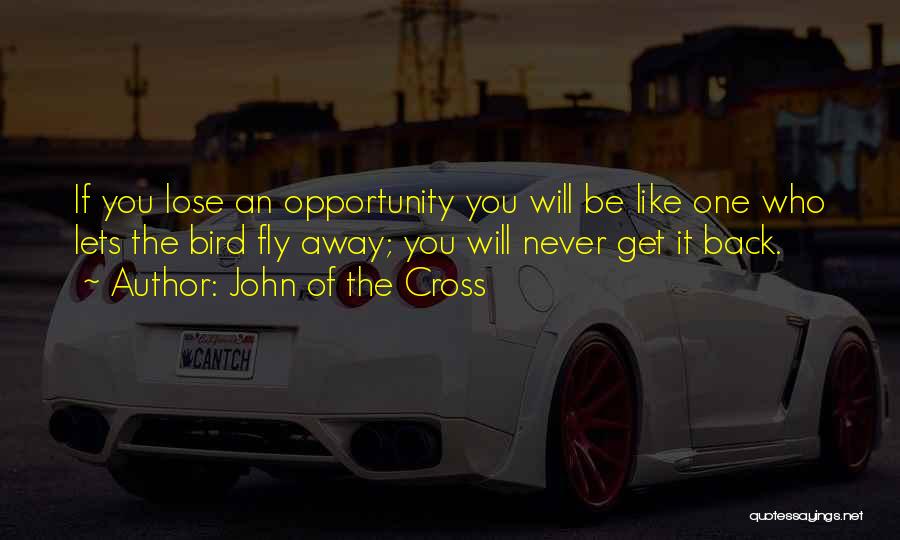John Of The Cross Quotes: If You Lose An Opportunity You Will Be Like One Who Lets The Bird Fly Away; You Will Never Get