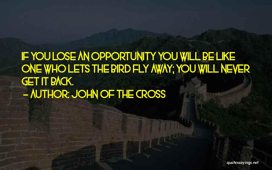 John Of The Cross Quotes: If You Lose An Opportunity You Will Be Like One Who Lets The Bird Fly Away; You Will Never Get