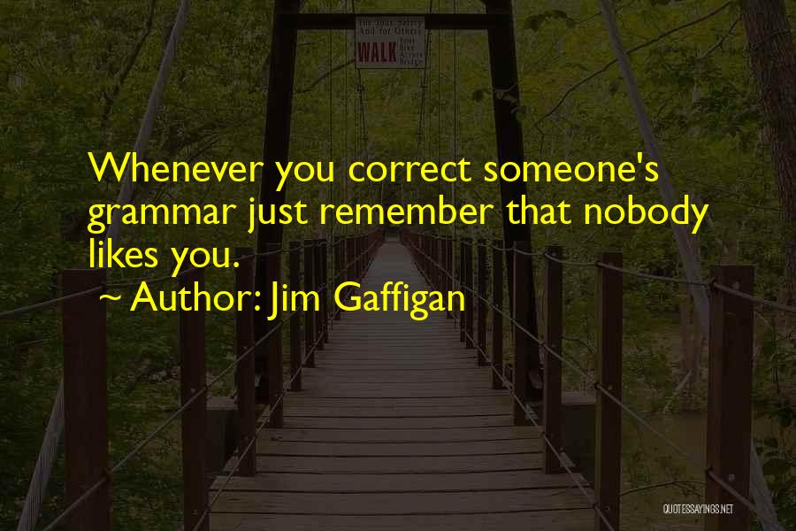 Jim Gaffigan Quotes: Whenever You Correct Someone's Grammar Just Remember That Nobody Likes You.