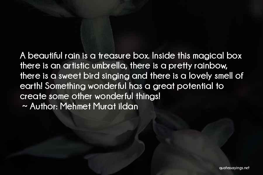 Mehmet Murat Ildan Quotes: A Beautiful Rain Is A Treasure Box. Inside This Magical Box There Is An Artistic Umbrella, There Is A Pretty