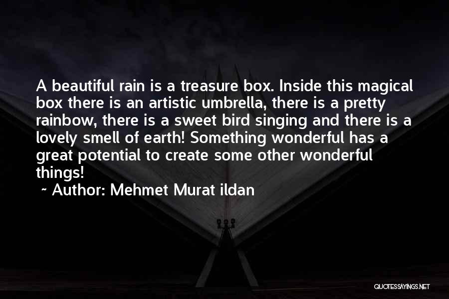 Mehmet Murat Ildan Quotes: A Beautiful Rain Is A Treasure Box. Inside This Magical Box There Is An Artistic Umbrella, There Is A Pretty