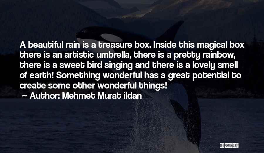 Mehmet Murat Ildan Quotes: A Beautiful Rain Is A Treasure Box. Inside This Magical Box There Is An Artistic Umbrella, There Is A Pretty