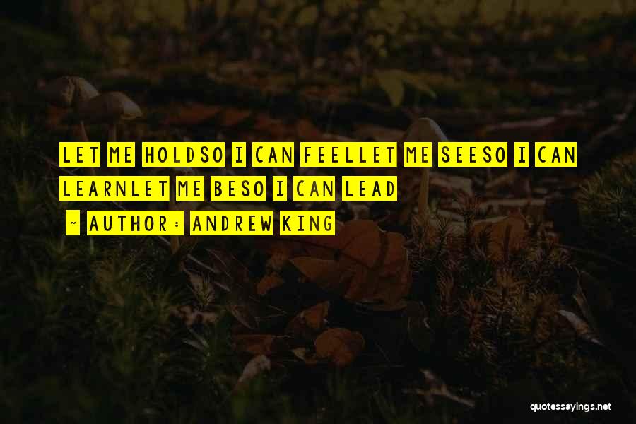 Andrew King Quotes: Let Me Holdso I Can Feellet Me Seeso I Can Learnlet Me Beso I Can Lead