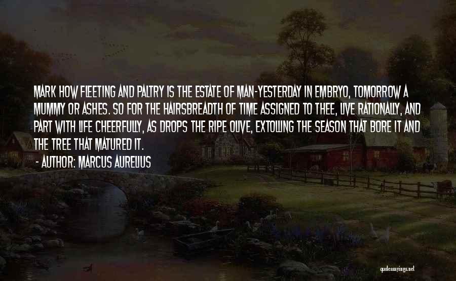 Marcus Aurelius Quotes: Mark How Fleeting And Paltry Is The Estate Of Man-yesterday In Embryo, Tomorrow A Mummy Or Ashes. So For The