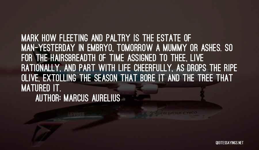Marcus Aurelius Quotes: Mark How Fleeting And Paltry Is The Estate Of Man-yesterday In Embryo, Tomorrow A Mummy Or Ashes. So For The
