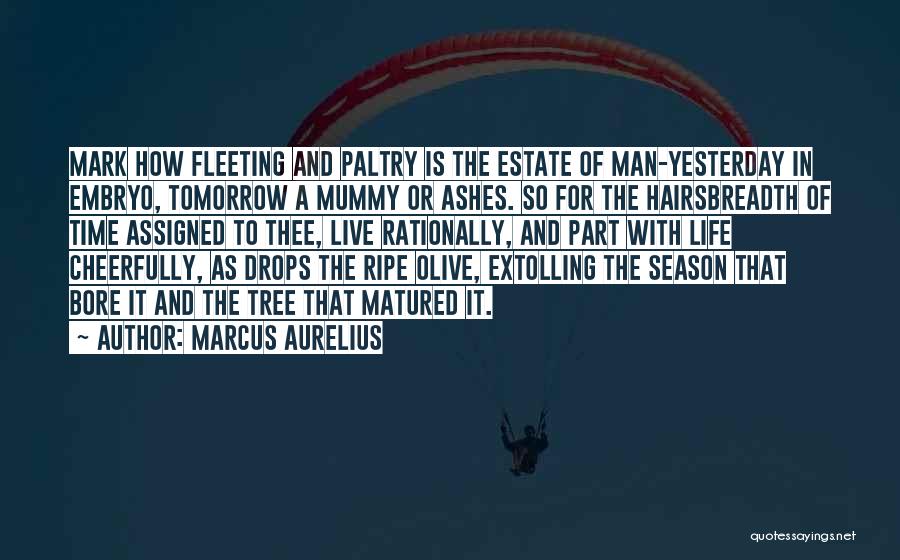 Marcus Aurelius Quotes: Mark How Fleeting And Paltry Is The Estate Of Man-yesterday In Embryo, Tomorrow A Mummy Or Ashes. So For The