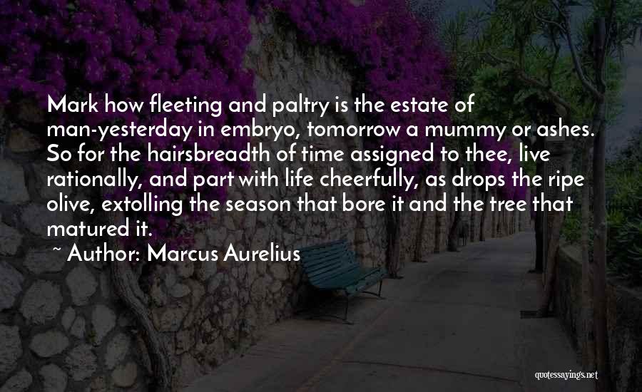 Marcus Aurelius Quotes: Mark How Fleeting And Paltry Is The Estate Of Man-yesterday In Embryo, Tomorrow A Mummy Or Ashes. So For The