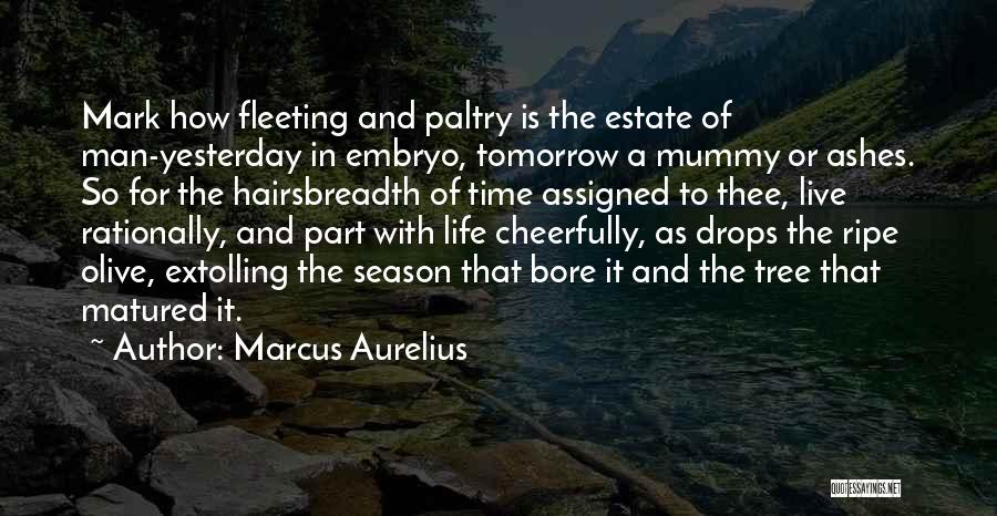 Marcus Aurelius Quotes: Mark How Fleeting And Paltry Is The Estate Of Man-yesterday In Embryo, Tomorrow A Mummy Or Ashes. So For The