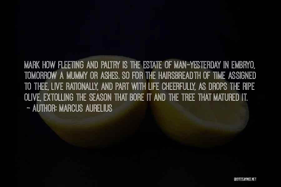 Marcus Aurelius Quotes: Mark How Fleeting And Paltry Is The Estate Of Man-yesterday In Embryo, Tomorrow A Mummy Or Ashes. So For The