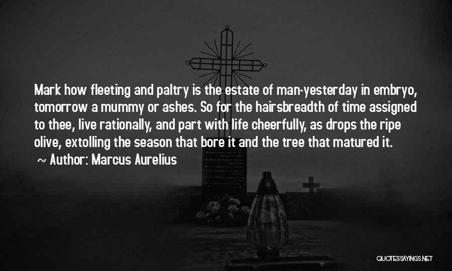 Marcus Aurelius Quotes: Mark How Fleeting And Paltry Is The Estate Of Man-yesterday In Embryo, Tomorrow A Mummy Or Ashes. So For The