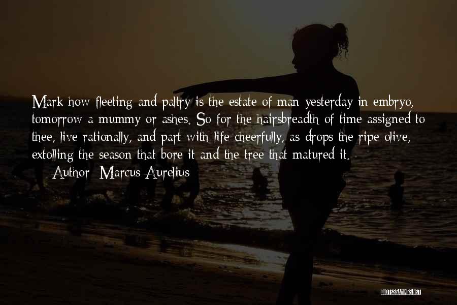 Marcus Aurelius Quotes: Mark How Fleeting And Paltry Is The Estate Of Man-yesterday In Embryo, Tomorrow A Mummy Or Ashes. So For The