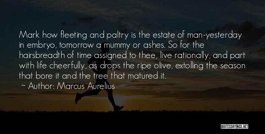 Marcus Aurelius Quotes: Mark How Fleeting And Paltry Is The Estate Of Man-yesterday In Embryo, Tomorrow A Mummy Or Ashes. So For The