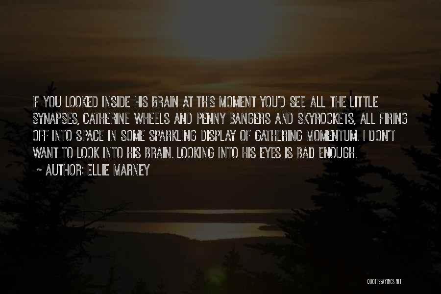 Ellie Marney Quotes: If You Looked Inside His Brain At This Moment You'd See All The Little Synapses, Catherine Wheels And Penny Bangers