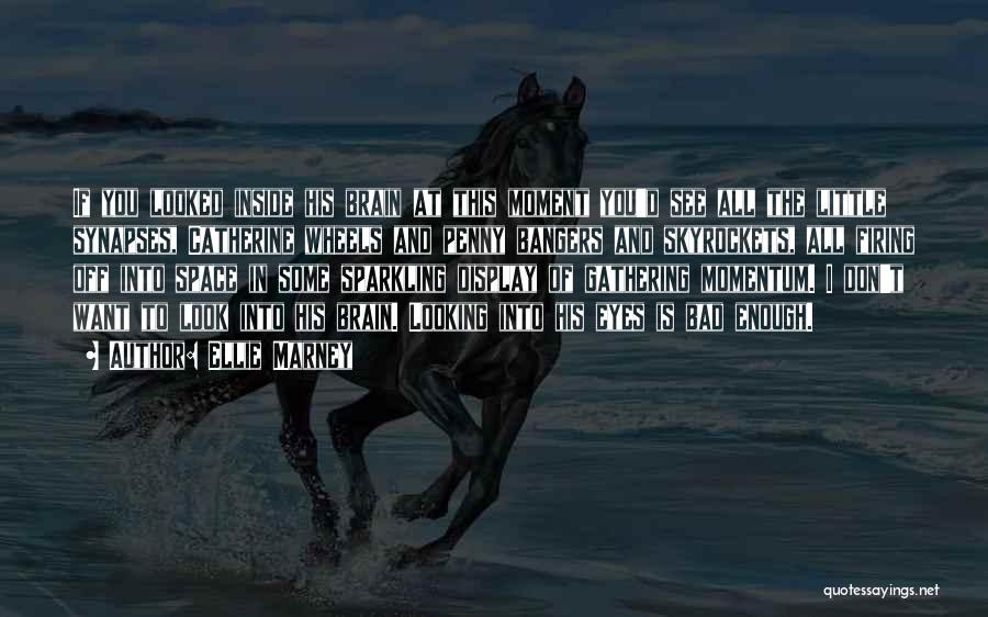 Ellie Marney Quotes: If You Looked Inside His Brain At This Moment You'd See All The Little Synapses, Catherine Wheels And Penny Bangers