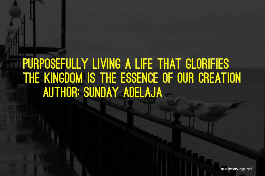 Sunday Adelaja Quotes: Purposefully Living A Life That Glorifies The Kingdom Is The Essence Of Our Creation