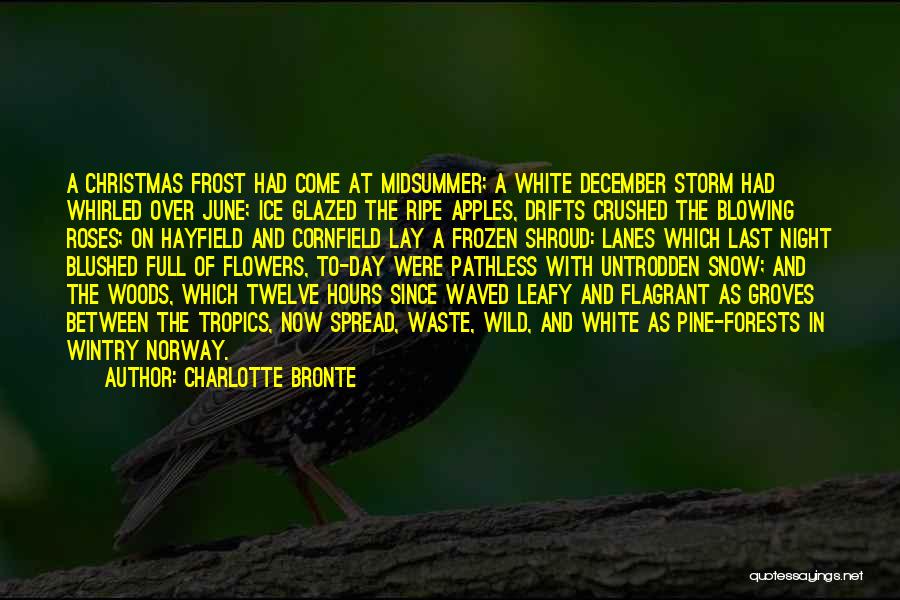 Charlotte Bronte Quotes: A Christmas Frost Had Come At Midsummer; A White December Storm Had Whirled Over June; Ice Glazed The Ripe Apples,