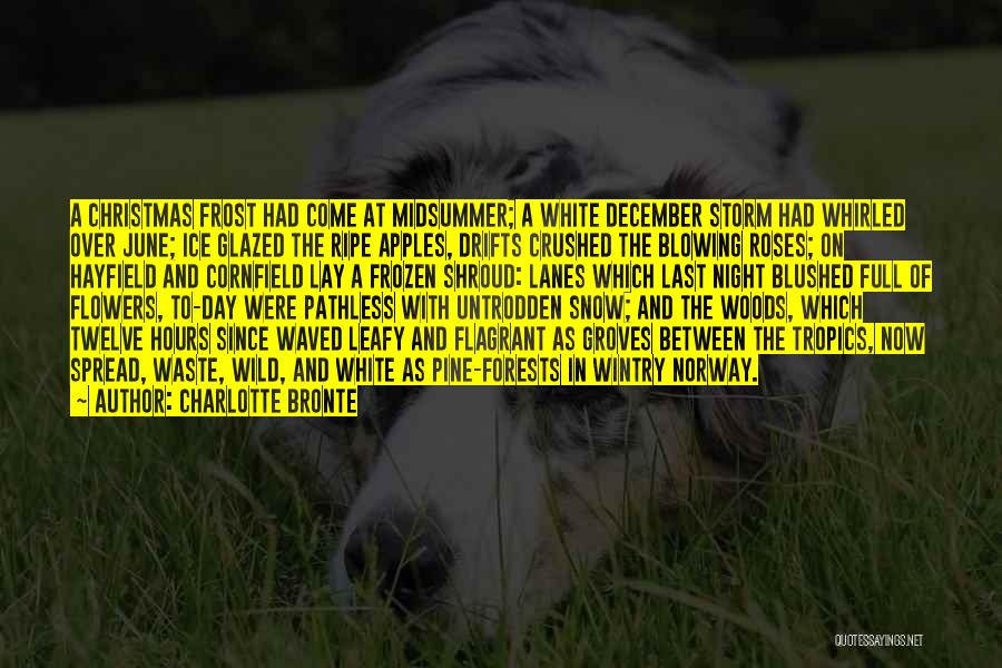 Charlotte Bronte Quotes: A Christmas Frost Had Come At Midsummer; A White December Storm Had Whirled Over June; Ice Glazed The Ripe Apples,
