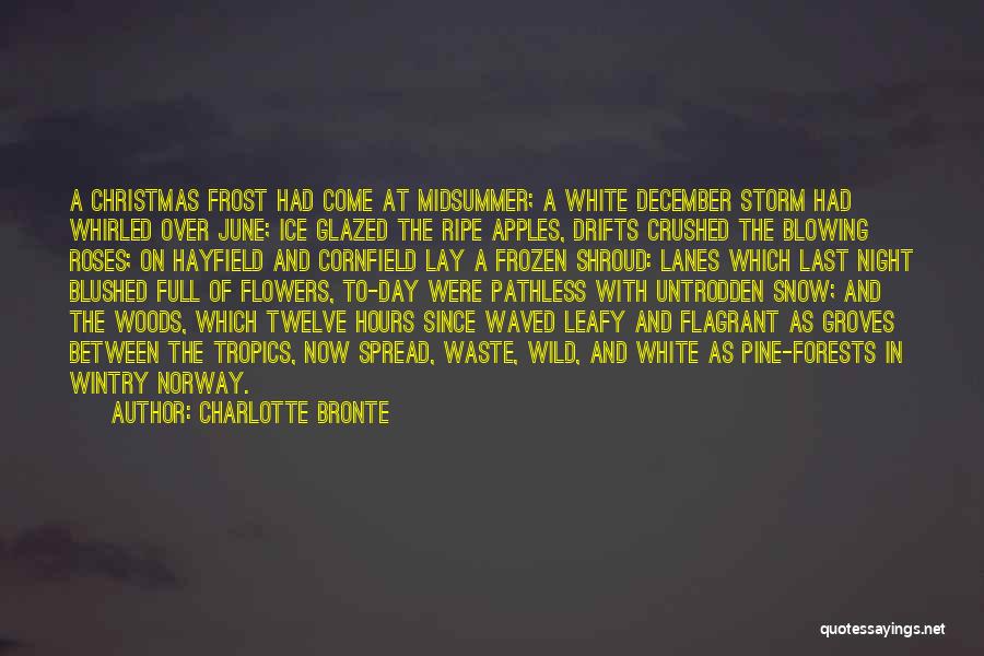 Charlotte Bronte Quotes: A Christmas Frost Had Come At Midsummer; A White December Storm Had Whirled Over June; Ice Glazed The Ripe Apples,