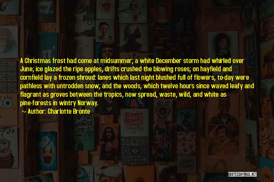 Charlotte Bronte Quotes: A Christmas Frost Had Come At Midsummer; A White December Storm Had Whirled Over June; Ice Glazed The Ripe Apples,