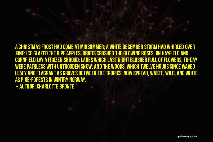 Charlotte Bronte Quotes: A Christmas Frost Had Come At Midsummer; A White December Storm Had Whirled Over June; Ice Glazed The Ripe Apples,
