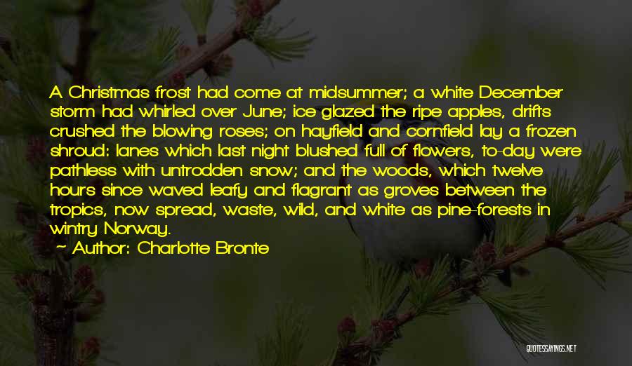 Charlotte Bronte Quotes: A Christmas Frost Had Come At Midsummer; A White December Storm Had Whirled Over June; Ice Glazed The Ripe Apples,