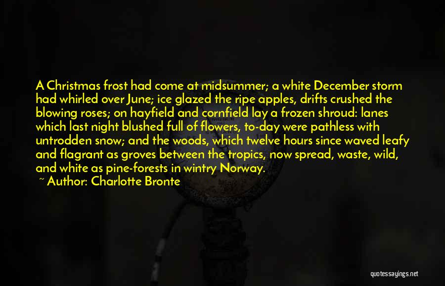 Charlotte Bronte Quotes: A Christmas Frost Had Come At Midsummer; A White December Storm Had Whirled Over June; Ice Glazed The Ripe Apples,