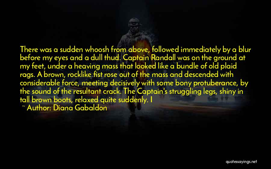 Diana Gabaldon Quotes: There Was A Sudden Whoosh From Above, Followed Immediately By A Blur Before My Eyes And A Dull Thud. Captain