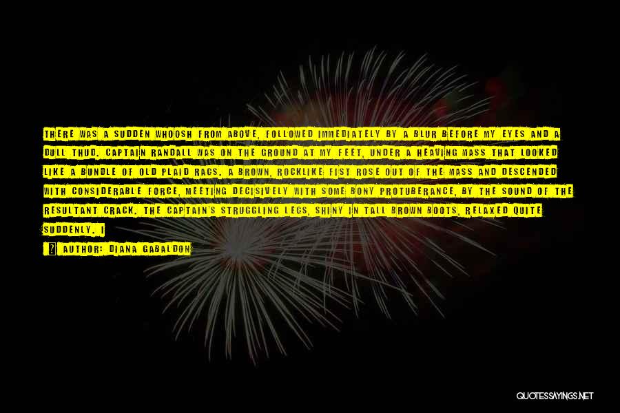 Diana Gabaldon Quotes: There Was A Sudden Whoosh From Above, Followed Immediately By A Blur Before My Eyes And A Dull Thud. Captain