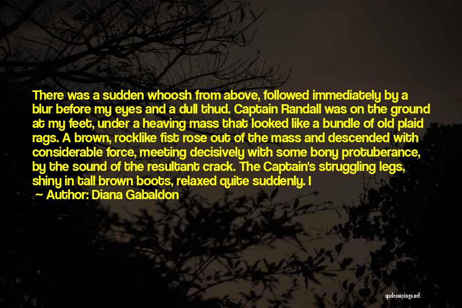 Diana Gabaldon Quotes: There Was A Sudden Whoosh From Above, Followed Immediately By A Blur Before My Eyes And A Dull Thud. Captain