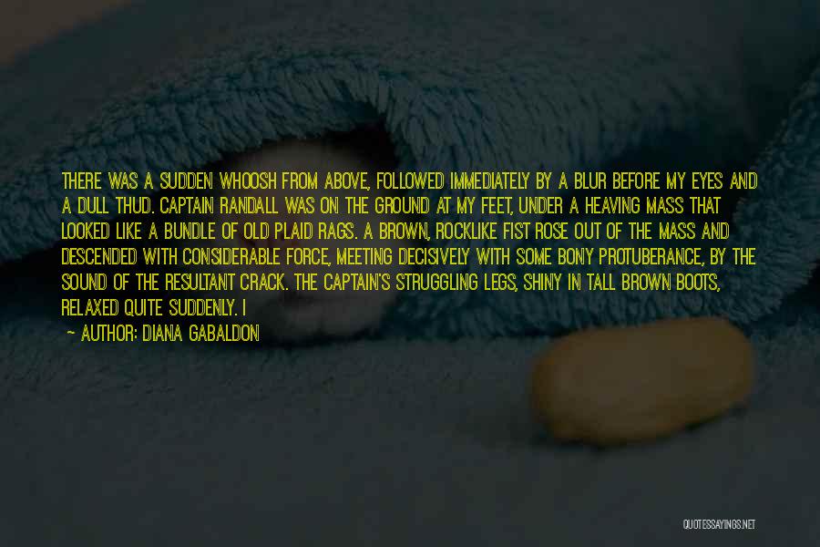 Diana Gabaldon Quotes: There Was A Sudden Whoosh From Above, Followed Immediately By A Blur Before My Eyes And A Dull Thud. Captain