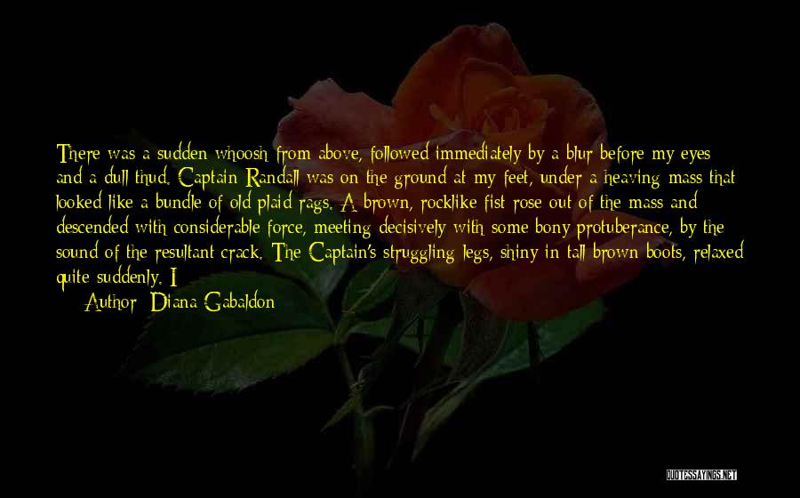 Diana Gabaldon Quotes: There Was A Sudden Whoosh From Above, Followed Immediately By A Blur Before My Eyes And A Dull Thud. Captain