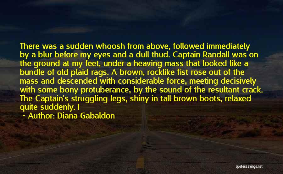 Diana Gabaldon Quotes: There Was A Sudden Whoosh From Above, Followed Immediately By A Blur Before My Eyes And A Dull Thud. Captain