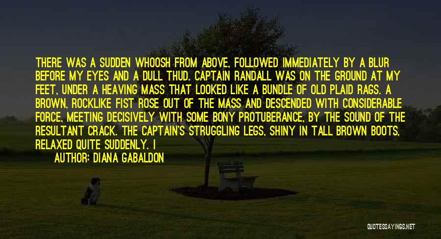 Diana Gabaldon Quotes: There Was A Sudden Whoosh From Above, Followed Immediately By A Blur Before My Eyes And A Dull Thud. Captain