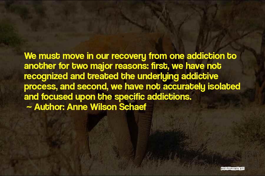 Anne Wilson Schaef Quotes: We Must Move In Our Recovery From One Addiction To Another For Two Major Reasons: First, We Have Not Recognized