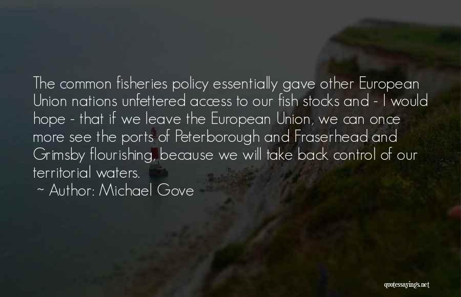 Michael Gove Quotes: The Common Fisheries Policy Essentially Gave Other European Union Nations Unfettered Access To Our Fish Stocks And - I Would