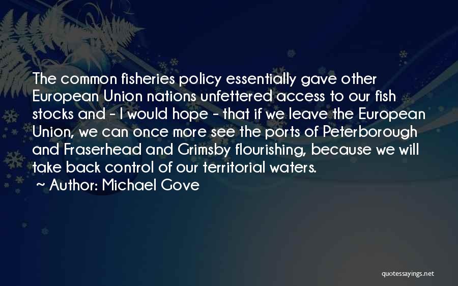 Michael Gove Quotes: The Common Fisheries Policy Essentially Gave Other European Union Nations Unfettered Access To Our Fish Stocks And - I Would