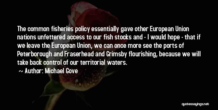 Michael Gove Quotes: The Common Fisheries Policy Essentially Gave Other European Union Nations Unfettered Access To Our Fish Stocks And - I Would