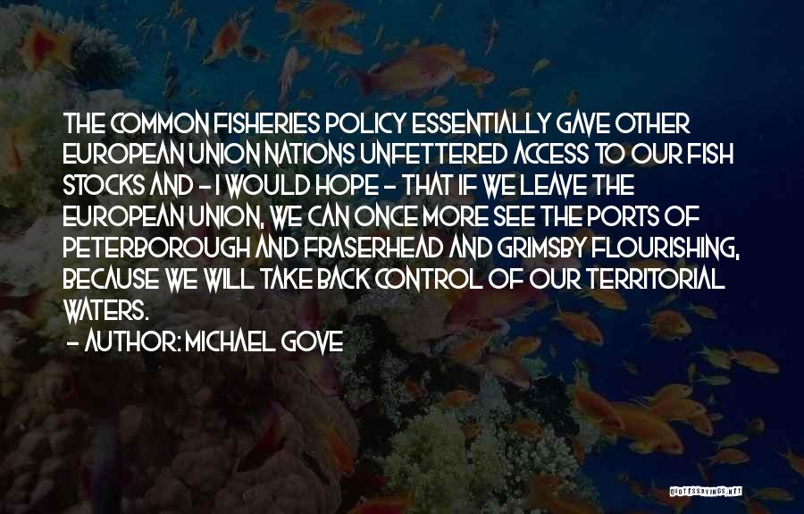 Michael Gove Quotes: The Common Fisheries Policy Essentially Gave Other European Union Nations Unfettered Access To Our Fish Stocks And - I Would