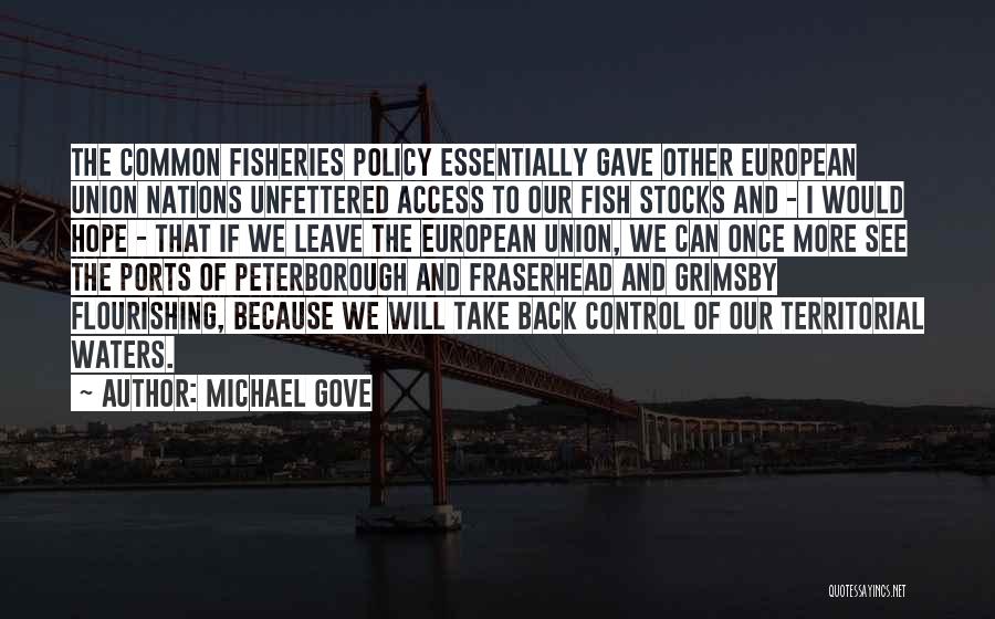 Michael Gove Quotes: The Common Fisheries Policy Essentially Gave Other European Union Nations Unfettered Access To Our Fish Stocks And - I Would