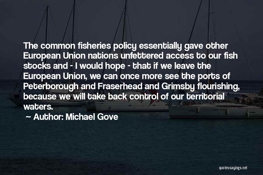 Michael Gove Quotes: The Common Fisheries Policy Essentially Gave Other European Union Nations Unfettered Access To Our Fish Stocks And - I Would