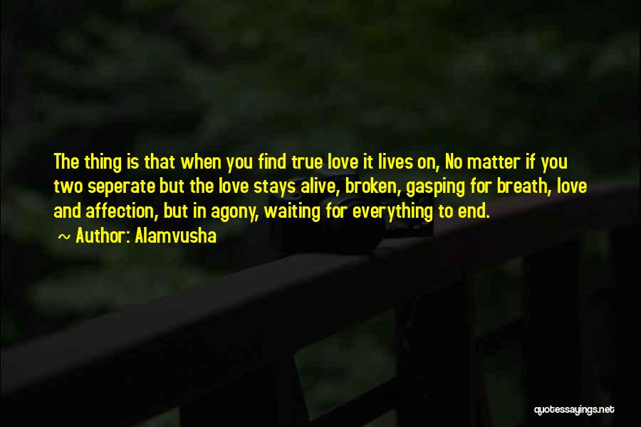 Alamvusha Quotes: The Thing Is That When You Find True Love It Lives On, No Matter If You Two Seperate But The