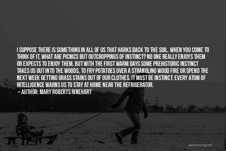 Mary Roberts Rinehart Quotes: I Suppose There Is Something In All Of Us That Harks Back To The Soil. When You Come To Think