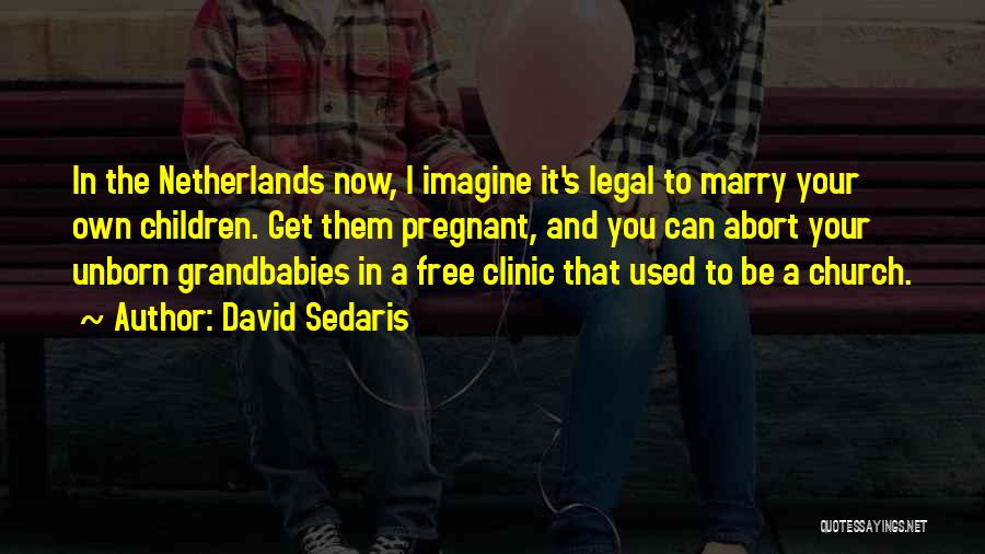 David Sedaris Quotes: In The Netherlands Now, I Imagine It's Legal To Marry Your Own Children. Get Them Pregnant, And You Can Abort
