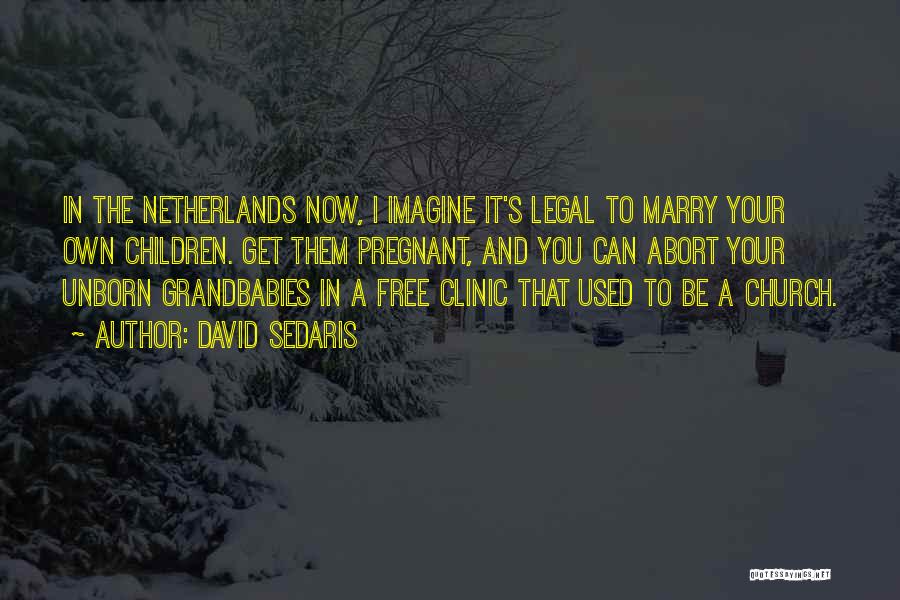 David Sedaris Quotes: In The Netherlands Now, I Imagine It's Legal To Marry Your Own Children. Get Them Pregnant, And You Can Abort