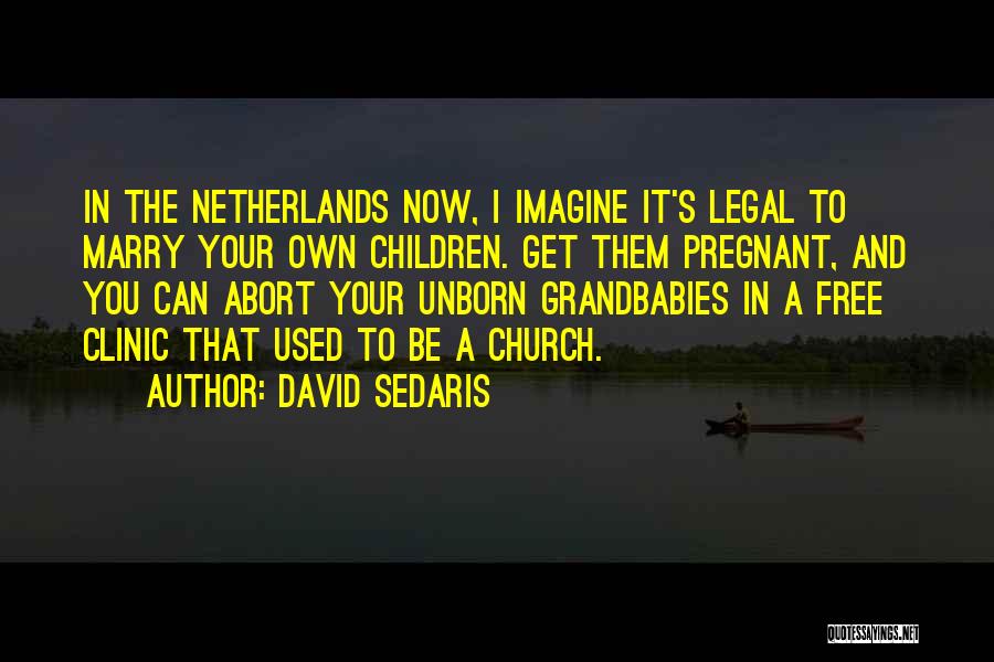 David Sedaris Quotes: In The Netherlands Now, I Imagine It's Legal To Marry Your Own Children. Get Them Pregnant, And You Can Abort