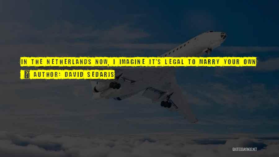 David Sedaris Quotes: In The Netherlands Now, I Imagine It's Legal To Marry Your Own Children. Get Them Pregnant, And You Can Abort